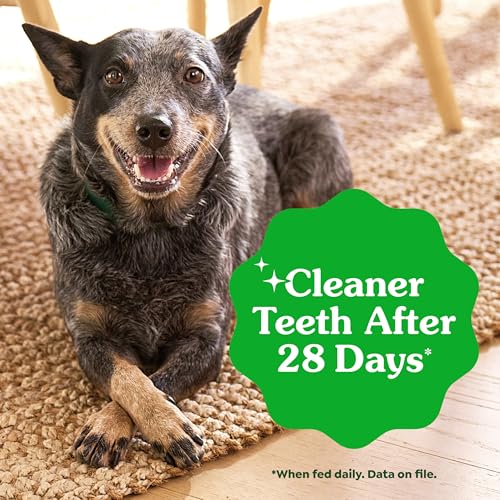 Large Natural Dental Dog Treats (24 Count (Pack of 1))