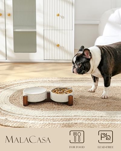 Dog Bowl Set Ceramic Bowls with Walnut Wood Stand (Rhombic+Polka Dots / 2 Cups)