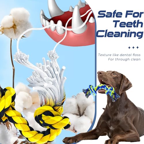 Dog Chew Toys for Aggressive Chewers (5 Packs / Large)