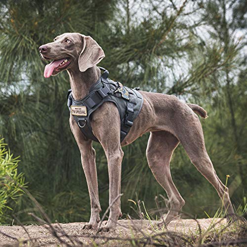 Tactical Dog Harness Vest No (Large / Grey)
