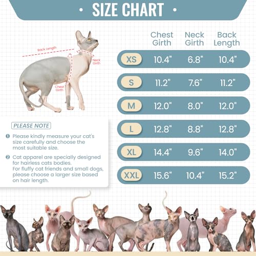 Hairless Cat Shirt (Medium / Blue)