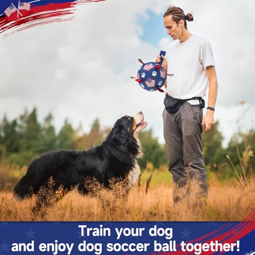 Dog Balls with Straps (Flag / 9 Inch)