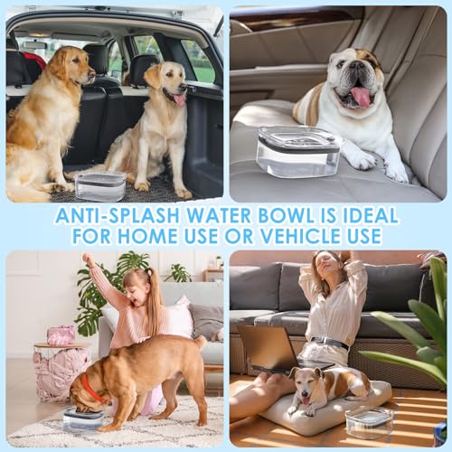 3L No Spill Dog Water Bowl with Slow Drinking Disk (Gray)