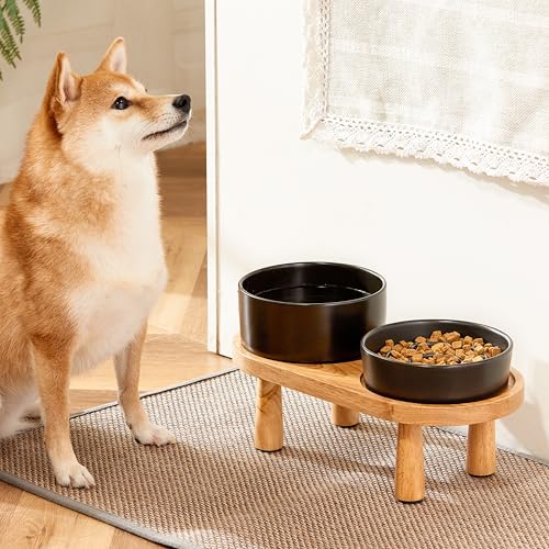 Ceramic Slow Feeder and Water Bowl Set for Small Dogs (Black / 6" D)