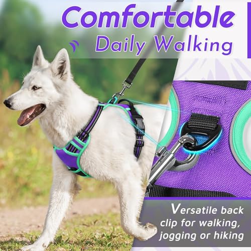 Dog Harness for Medium Sized Dogs (Medium / Purple & Turquoise)