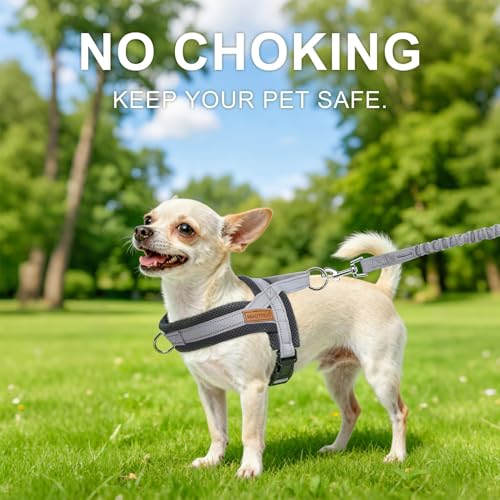 Small Dog Harness and Leash Set (Grey / S: Chest 17.5"-22")