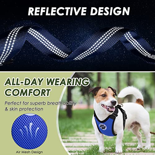 Dog Car Harness Seat Belt (Large / Blue)