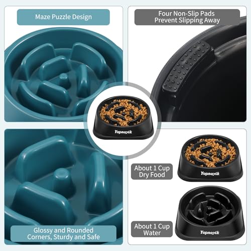 2 Pack Slow Feeder Dog Bowls for Small Dogs (Small / Black and Navy Blue)