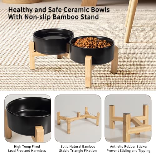 Elevated Ceramic Dog Bowl (Black / Small)