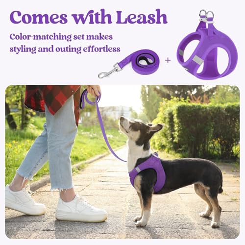 Dog Harness Medium Sized and Leash Set (Purple / L (chest: 18.2 - 20.5"))