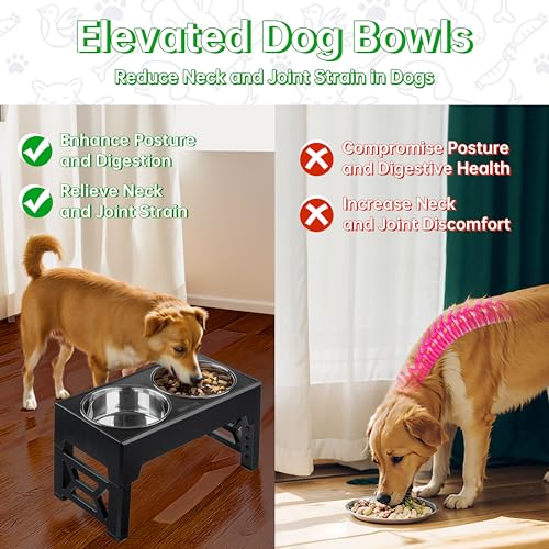 Elevated Dog Bowls (2 Stainless Steel Bowls / Black)