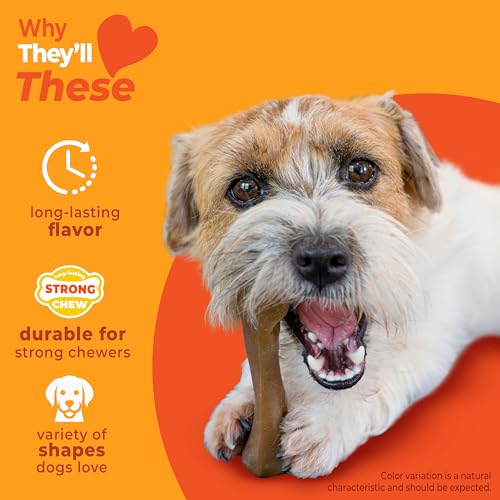 Strong Chew Dog Toy 4 (Bundle / Small)