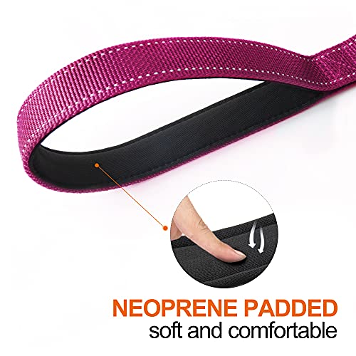 4FT 1IN Heavy Duty Dog Leash for Large Dogs with 2 Padded Handles (Rose / 1 in x 4 ft)