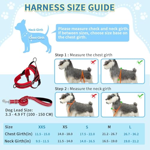 No Pull Small Dog Harness and Leash Set with Front Clip (X-Small / Red)