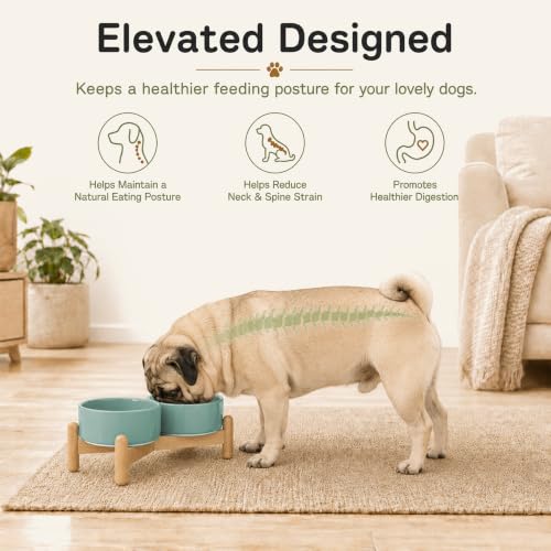 Ceramic Dog Bowls Elevated (Light Green)