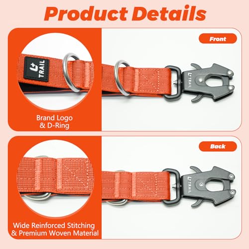 14 Inch Traffic Dog Leash with Padded Handle (Orange)
