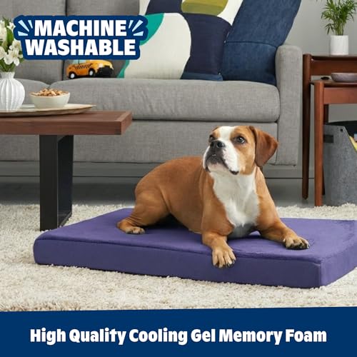 Orthopedic Dog Bed with Memory Foam (Navy / Large)
