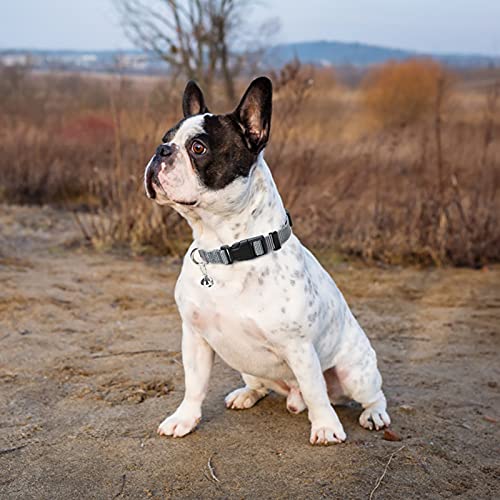 Adjustable Dog Harness Collar and Leash Set Step in No Pull Pet Harness for Small Medium Dogs Puppy and Cats Outdoor Walking Running (Solid Grey / XS (CHEST 13"-14.5"))