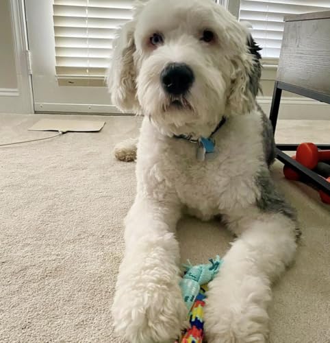 Puppy Rope & Tug of War Toys for Teething