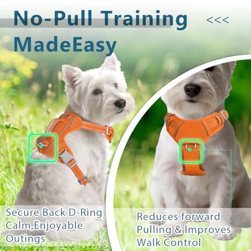 Dog Harness No Pull with ID Tag Pocket (Small(Chest:19.5-26”) / Orange)