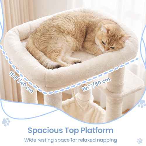 Cat Tree for Large Cats (Beige / 60 inch)