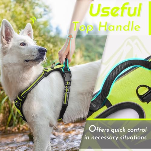 Dog Harness for Small Dogs (Small / Green)