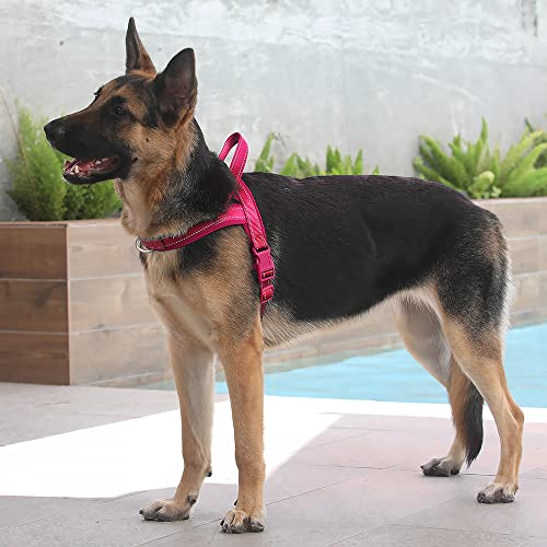 No Pull Dog Harness for Large Dogs (L: chest 25.2"-32.3" / Pink)