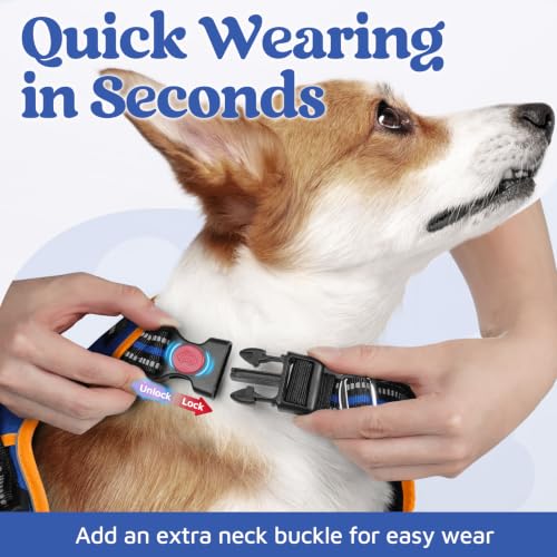 Dog Harness Small Sized (Royal Blue & Orange / Small)