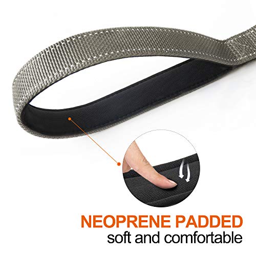 5FT 1IN Heavy Duty Dog Leash for Large Dogs with 2 Padded Handles (Grey / 1 in x 5 ft)
