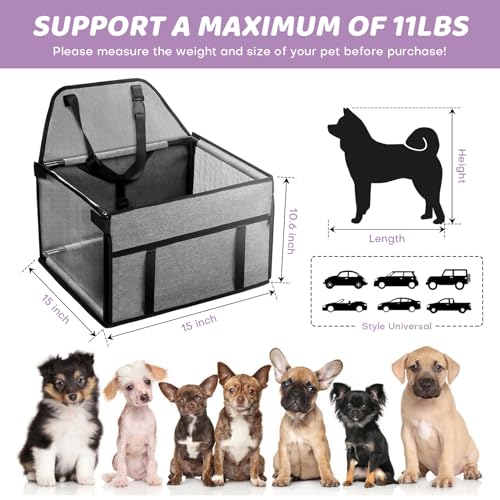 Small Dog Car Seat