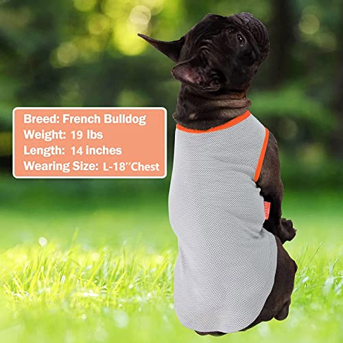 2Pack Dog Shirt for Small Dogs Soft Breathable T (Medium (7-13lbs) / 6# Pink+Grey)