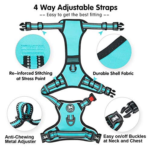 Dog Harness Medium (Medium / Mint Blue)
