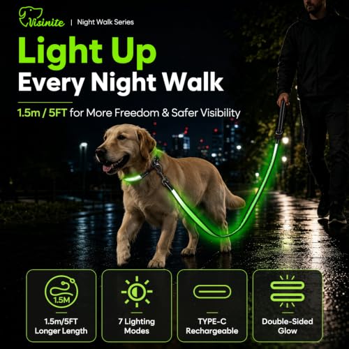 5 Ft LED Dog Leash (5 Ft)