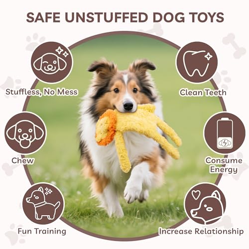 No Stuffing Dog Toys 5 Pack (For Medium and Large Breed / 5 Pack - Soft Plush)