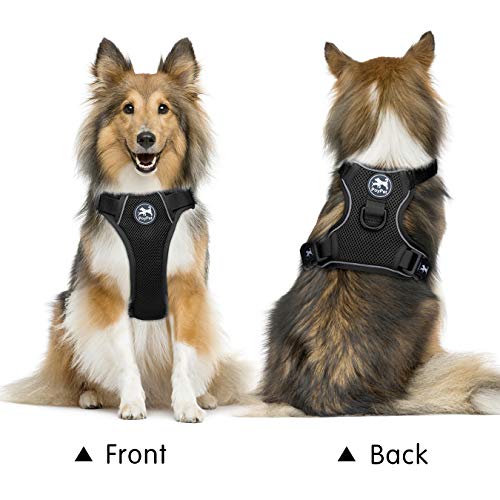 Mesh Dog Harness (XL / Black)