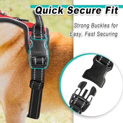 Dog Harness for Small Sized Dog No Pull 2 Leash Clips Dog Vest (X-Small / Red)