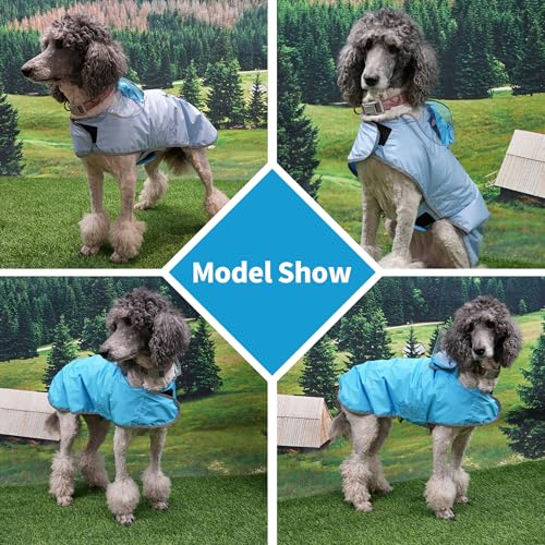 Reversible Dog Raincoat (Blue / X-Large)