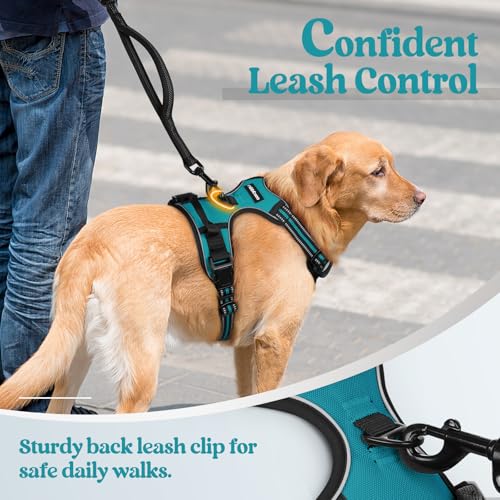 Dog Harness No Pull with 2 Leash Clips (Large / Teal)