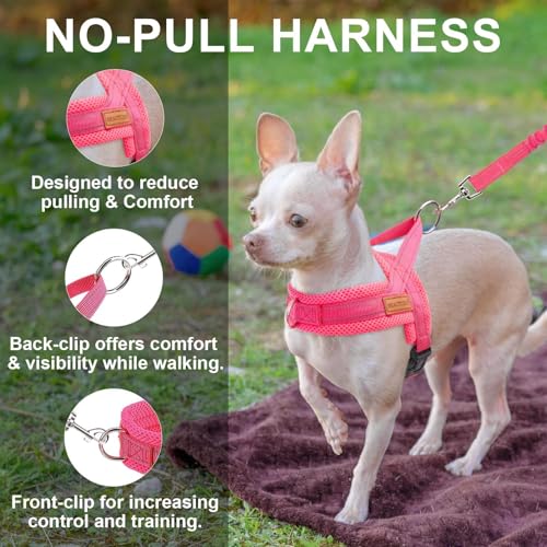 Small Dog Harness and Leash Set (Dark pink / S: Chest 17.5"-22")