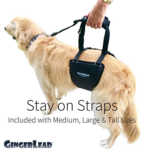 K9 Sling Hind Leg Support (Medium-Large - Unisex)