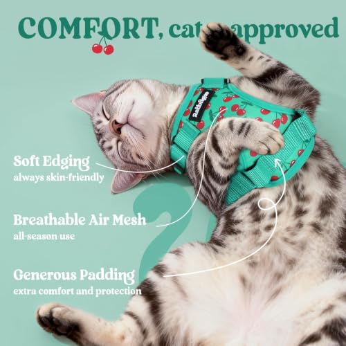 Cat Harness and Leash Set (M / Cherry Grove)