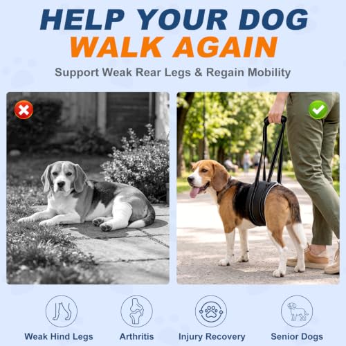 Dog Lift Harness for Rear Legs (Medium)