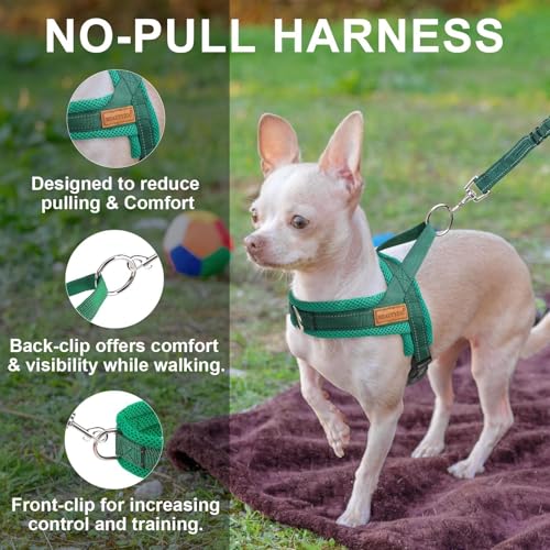 Small Dog Harness and Leash Set (Green / S: Chest 17.5"-22")