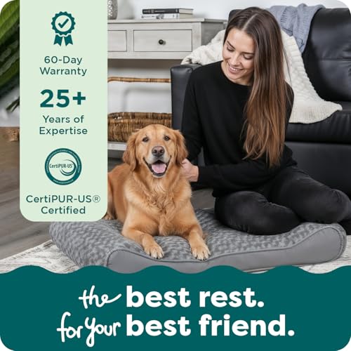 Orthopedic Dog Bed for Extra Large Dogs w (Giant/XXXL / Cream)