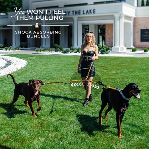 Premium Double Leash for Two Dogs (Adjustable Premium Gold)
