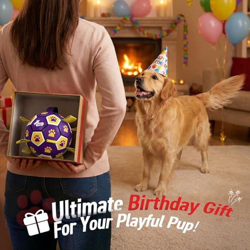 Dog Balls Toys (Purple Yellow / 6 Inch)