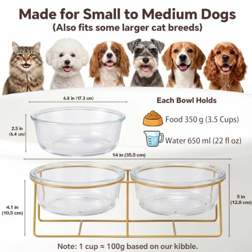 Elevated Dog Bowl Set of 2 (Large / glass×2)