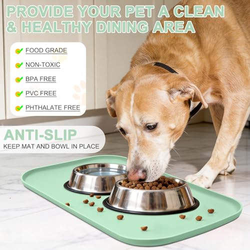 Waterproof Silicone Pet Food Mat with Raised Edge for Dog & Cat (Mint Green / 24"L x 16"W)