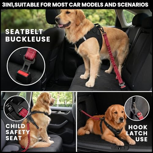 Dog Seat Belt for Car (Red / 21.6"-32")