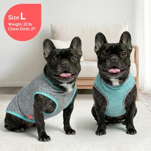 2Pack Dog Shirt for Small Dogs Sun Protection Tank Top for Summer (Small (4-7lbs) / 1# 2Pack (Grey+Blue))